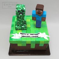 Minecraft Creeper & Steve